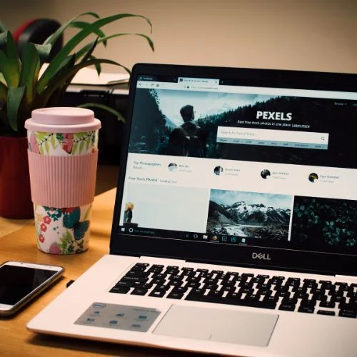 Website-Development